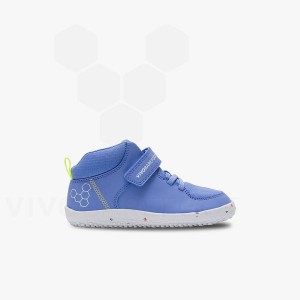 Blue Kids' Vivobarefoot Primus Ludo Hi Preschool Shoes | UAE 031HT