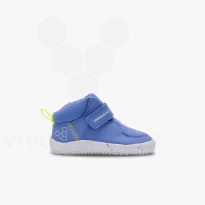 Blue Kids' Vivobarefoot Primus Ludo Hi Toddlers Shoes | UAE 033FU