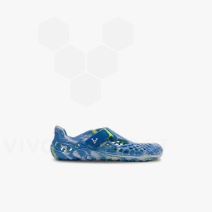 Blue Light Turquoise Kids' Vivobarefoot Ultra Bloom Preschool Shoes | UAE 050OB