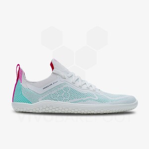 Blue Men's Vivobarefoot Primus Lite Knit Road Running Shoes | UAE 386QC