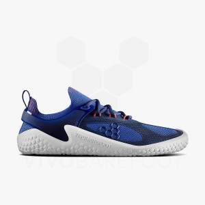 Blue / Navy / Orange Men's Vivobarefoot Motus Strength Road Running Shoes | UAE 397FU