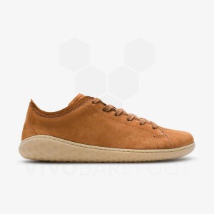 Brown Women's Vivobarefoot Geo Court III Lifestyle Shoes | UAE 148UK