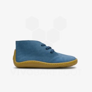 Indigo Kids' Vivobarefoot Gobi Addis Juniors Shoes | UAE 009DO