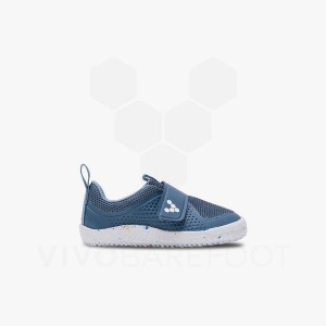 Indigo Kids' Vivobarefoot Primus Sport III Toddlers Shoes | UAE 071TL