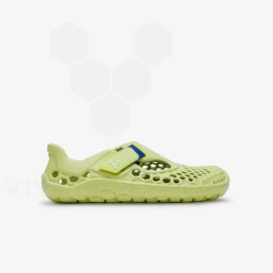 Light Green Kids' Vivobarefoot Ultra Bloom Shoes | UAE 048QC