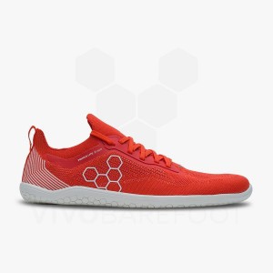 Red Men's Vivobarefoot Primus Lite Knit Road Running Shoes | UAE 384SZ