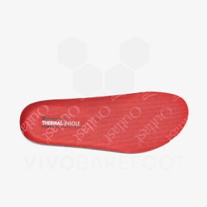 Red Men's Vivobarefoot Thermal Insoles | UAE 287LQ