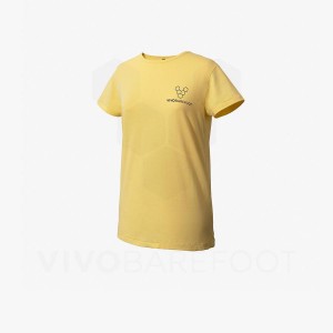 Yellow Men's Vivobarefoot Rapanui Sport T Shirts | UAE 274YF